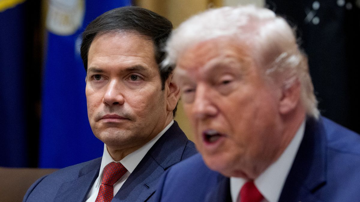 Marco Rubio, Donald Trump
