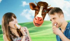 „Muuucia wyzwala uczucia” w kampanii lodów Zielona Budka (wideo)