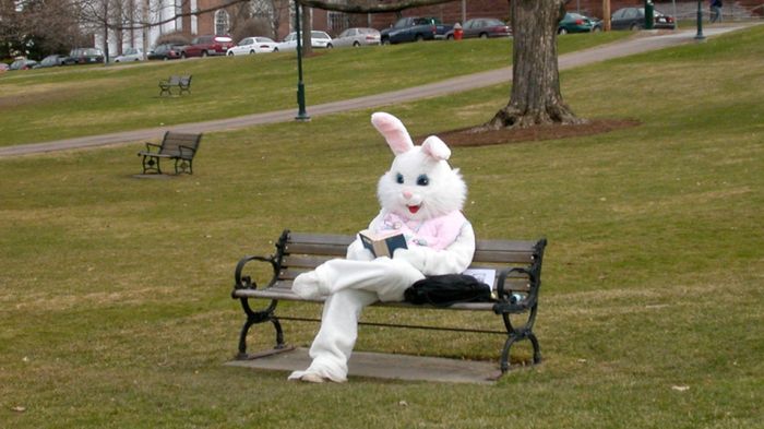 Zrezygnujesz z gadżetów podczas Wielkiego Tygodnia? 1