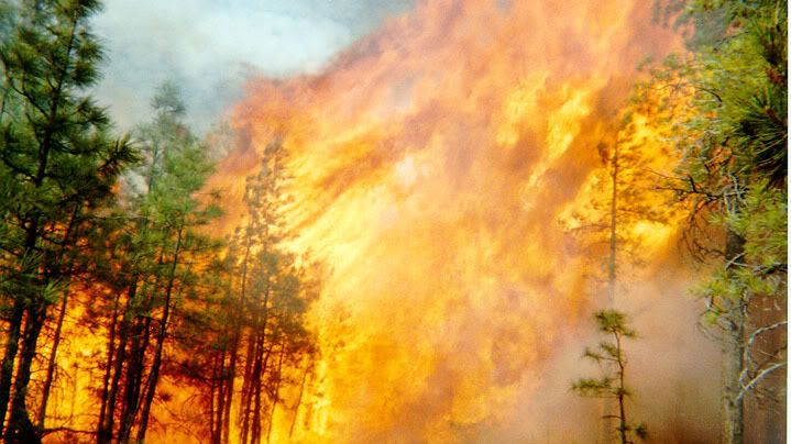 TOP 3 Najlepsze darmowe zapory sieciowe 1