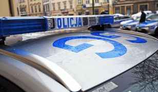 Wielkopolskie. Samochód staranował płot i wjechał na cmentarz