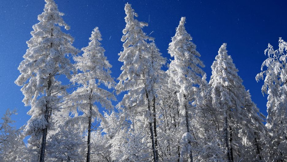 Bardzo dobre warunki w Beskidach