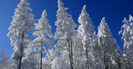 Beskidy. Wyśmienite warunki narciarskie…stąd też więcej interwencji ratowników