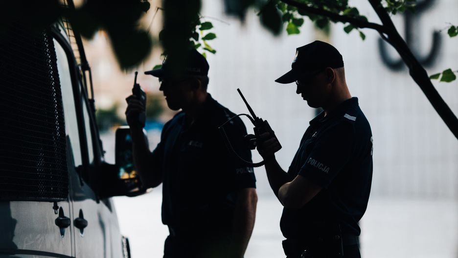 wpwiado policja