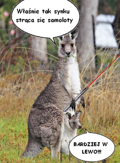 Lasery zakazane w Australii 1