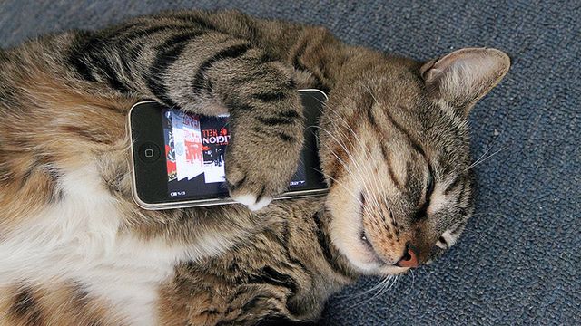 Gadżet samo zuo, czyli jak smartfon niszczy zdrowie 2