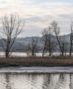 Dunajec. Wyłowiono ciało kobiety. Była poszukiwana