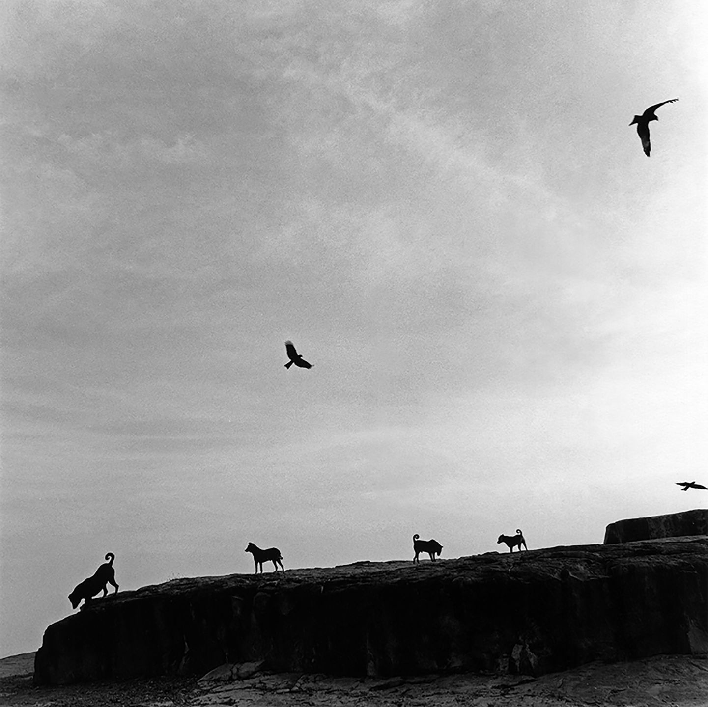 Graciela Iturbide wyróżniona za wybitny wkład w fotografię 5