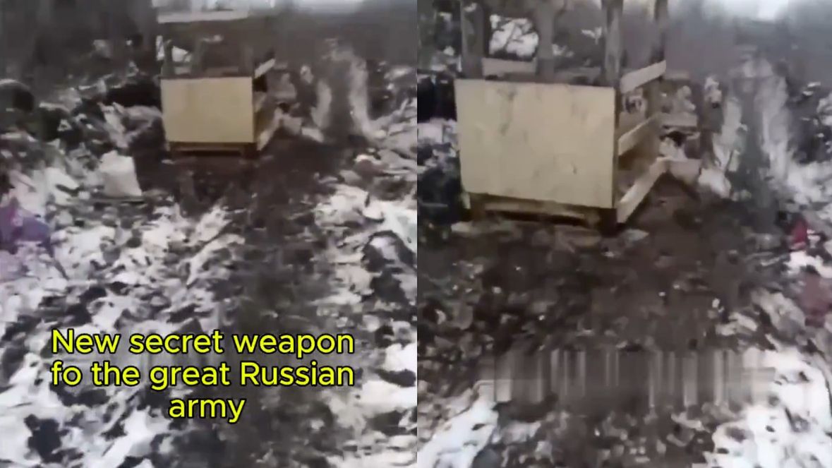 Tak wygląda nowa rosyjska "broń". To osły