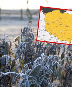 Cała Polska na żółto. Alerty IMGW