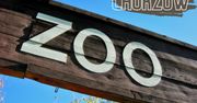 Śląski Ogród Zoologiczny w Chorzowie