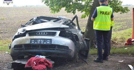 Audi uderzyło w łosia. Nie żyje 33-letni kierowca. Zwierzę także nie przeżyło
