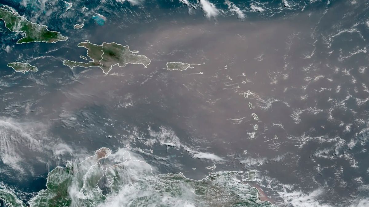 Ma olbrzymie rozmiary.