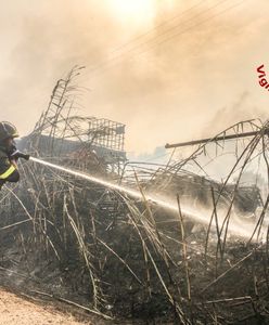 Włochy. Gigantyczne pożary na Sardynii. Apel o międzynarodową pomoc