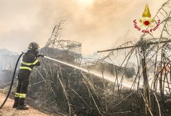 Włochy. Gigantyczne pożary na Sardynii. Apel o międzynarodową pomoc