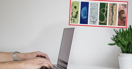 Dzień Ziemi 2024. Google przygotowało okolicznościową grafikę