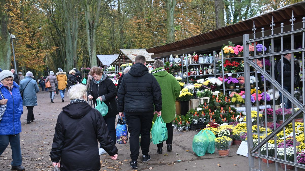 Chryzantemy dłużej zachowają świeżość