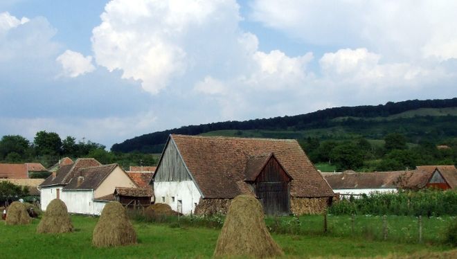 Do 100 tys. zł na działalność pozarolniczą na wsi