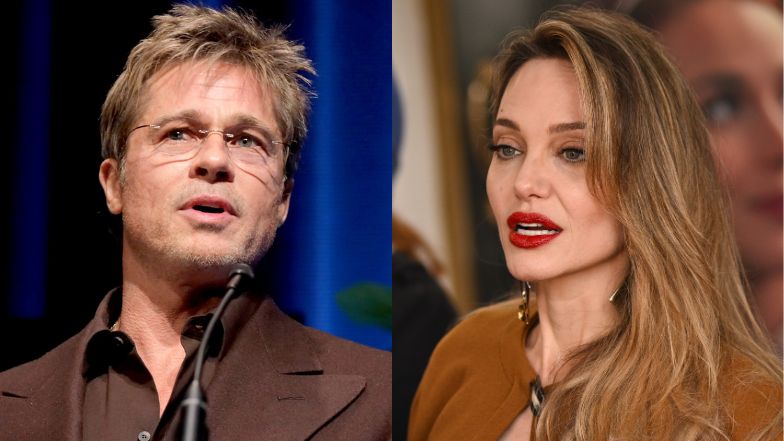 Brad Pitt accuses Angelina Jolie of illegal vineyard sale