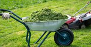 Kosisz trawę w weekend? Oto co mówią przepisy