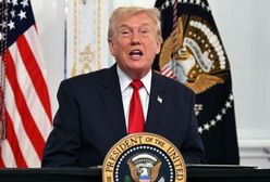 Trump pożąda Grenlandii. Dla niej gotów jest nawet rozbić NATO?