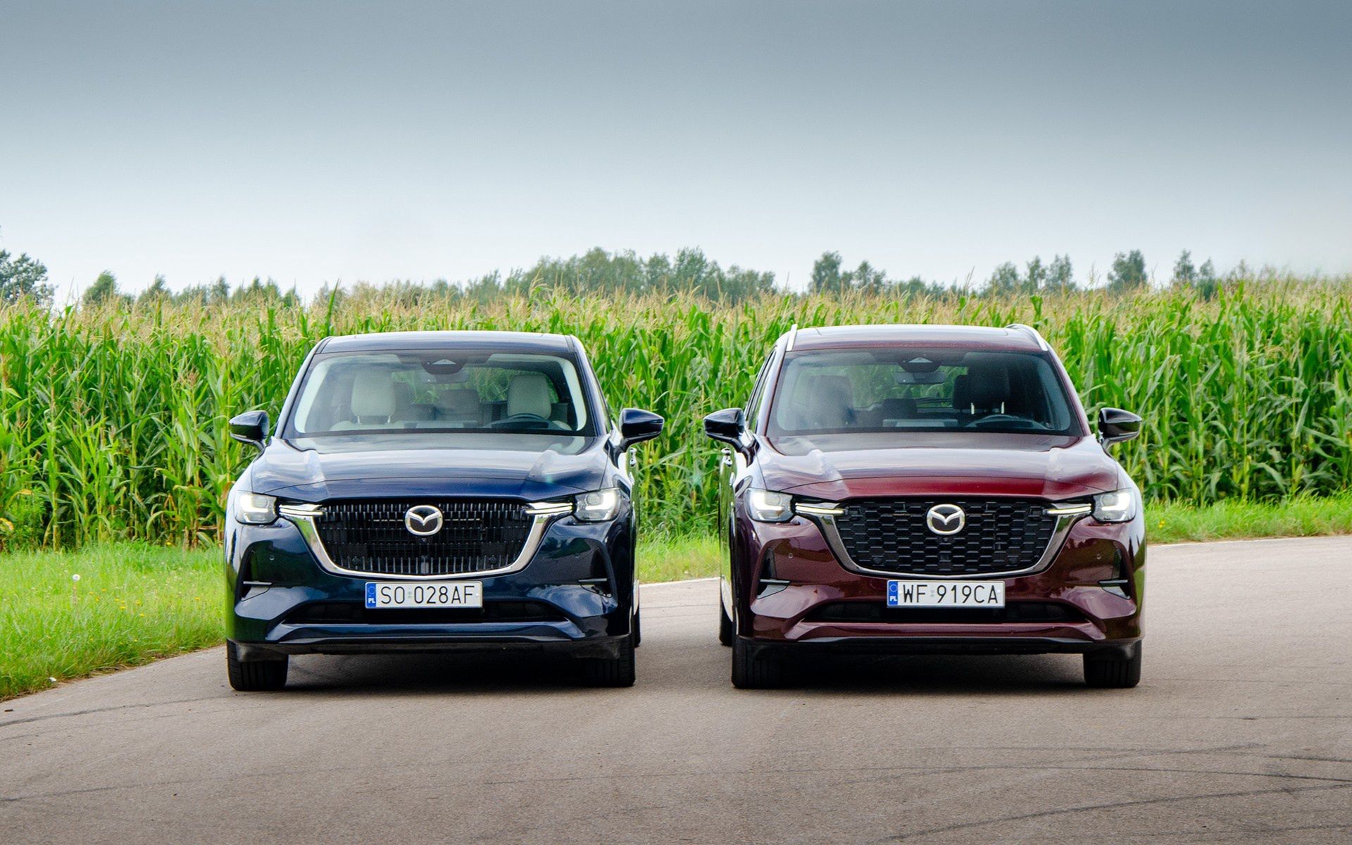 Mazda CX-60 vs. Mazda CX-80