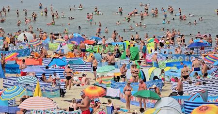 Morze parawanów w Stegnie. "Są tu tysiące turystów"