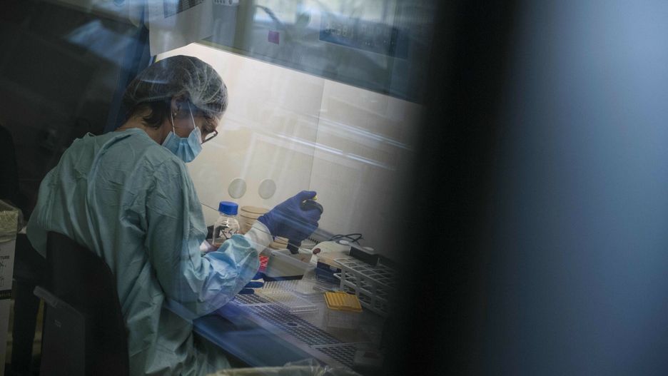 Bakteriofagi w laboratoriumA laboratory worker prepares a treatment with the phages necessary to fight a bacteria in the Pherecydes Pharma laboratory, in Romainville near Paris, on November 8, 2021. (Photo by JULIEN DE ROSA / AFP)JULIEN DE ROSA