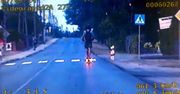 Pędził hulajnogą jak motocyklem. Policja od razu zatrzymała 21-latka