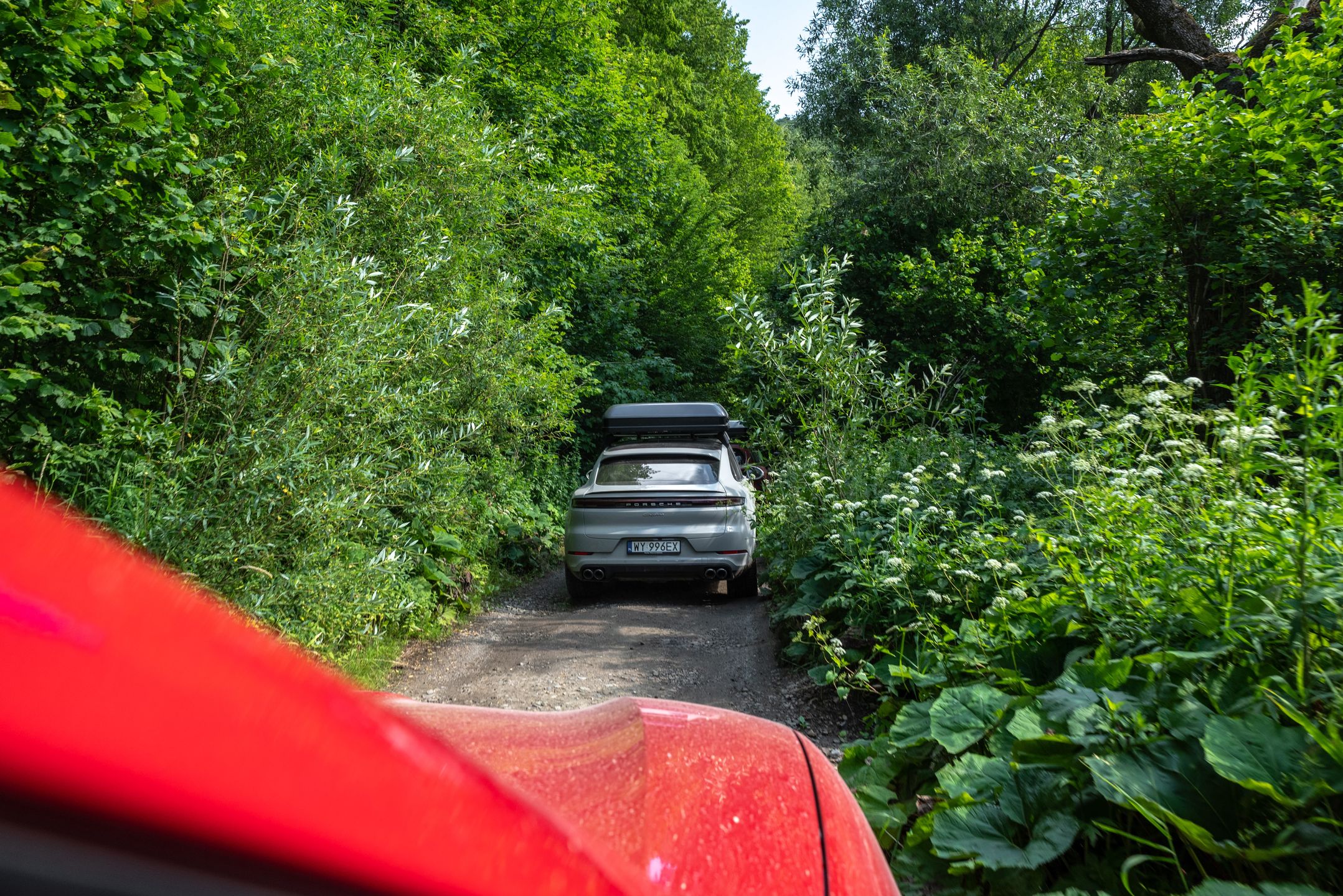 Porsche Cayenne w Bieszczadach