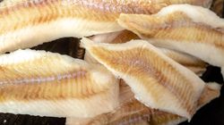 Ta polska ryba to prawdziwy "czyścioch". Nie ma rtęci i toksyn