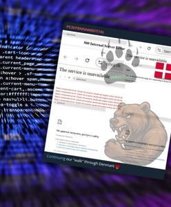 Prorosyjscy hakerzy uderzyli w duńskie urzędy. Grupa "NoName057" bierze na cel wybory