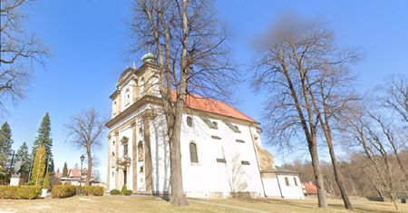 Krzyczał i przewrócił krzyż. Jest akt oskarżenia przeciwko mężczyźnie, który zakłócał mszę