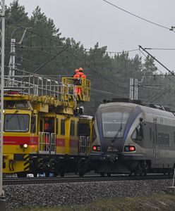 Pod Puławami przecięto sieć trakcyjną. Śledczy badają dywersję