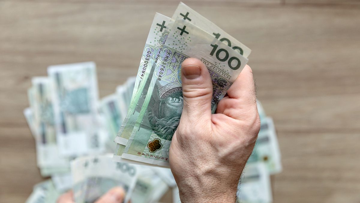 pieniądze, złoty, gotówka, waluta, waluty, sto złotych