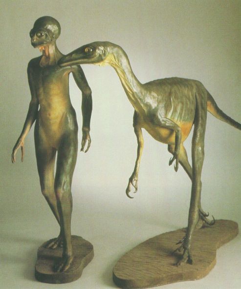 Models of the dinosauroid and Troodon