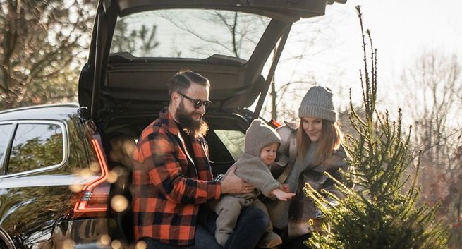 Volvo znów otwiera wypożyczalnię choinek