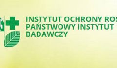Nonoproblemo odpowiada za kompleksowe działania dla Instytutu Ochrony Roślin