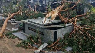 Nawałnica w powiecie sierpeckim. 47 interwencji strażaków po nocnej wichurze!