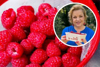 Katarzyna Bosacka stawia sprawę jasno. Czy trzeba myć maliny przed jedzeniem?