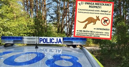 Nietypowe ogłoszenie w Łódzkiem. "Nie zbliżaj się"