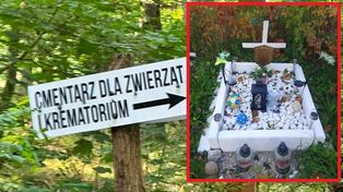 Wrzucił zdjęcie grobu psa i się zaczęło. "Bez przesady, krzyż dla psa?"