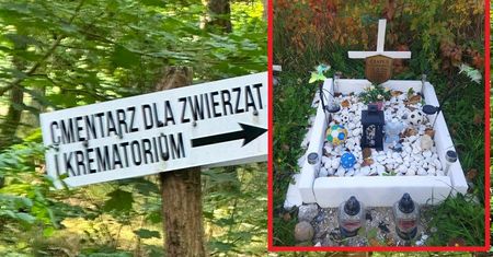 Wrzucił zdjęcie grobu psa i się zaczęło. "Bez przesady, krzyż dla psa?"