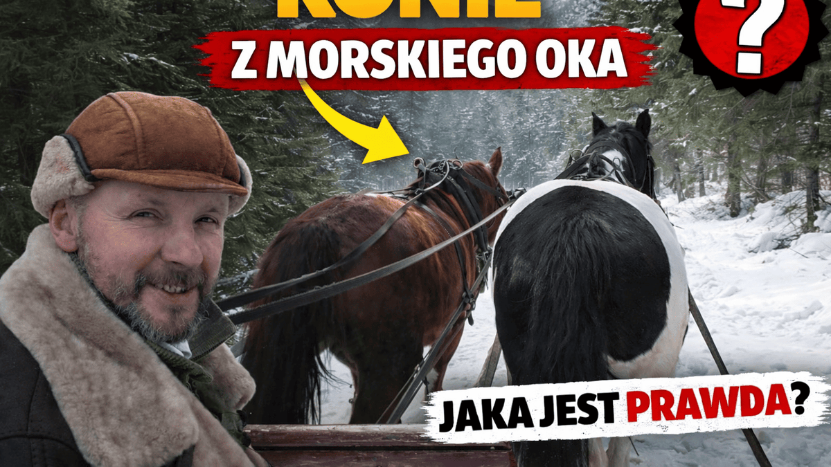 Konie z Morskiego Oka