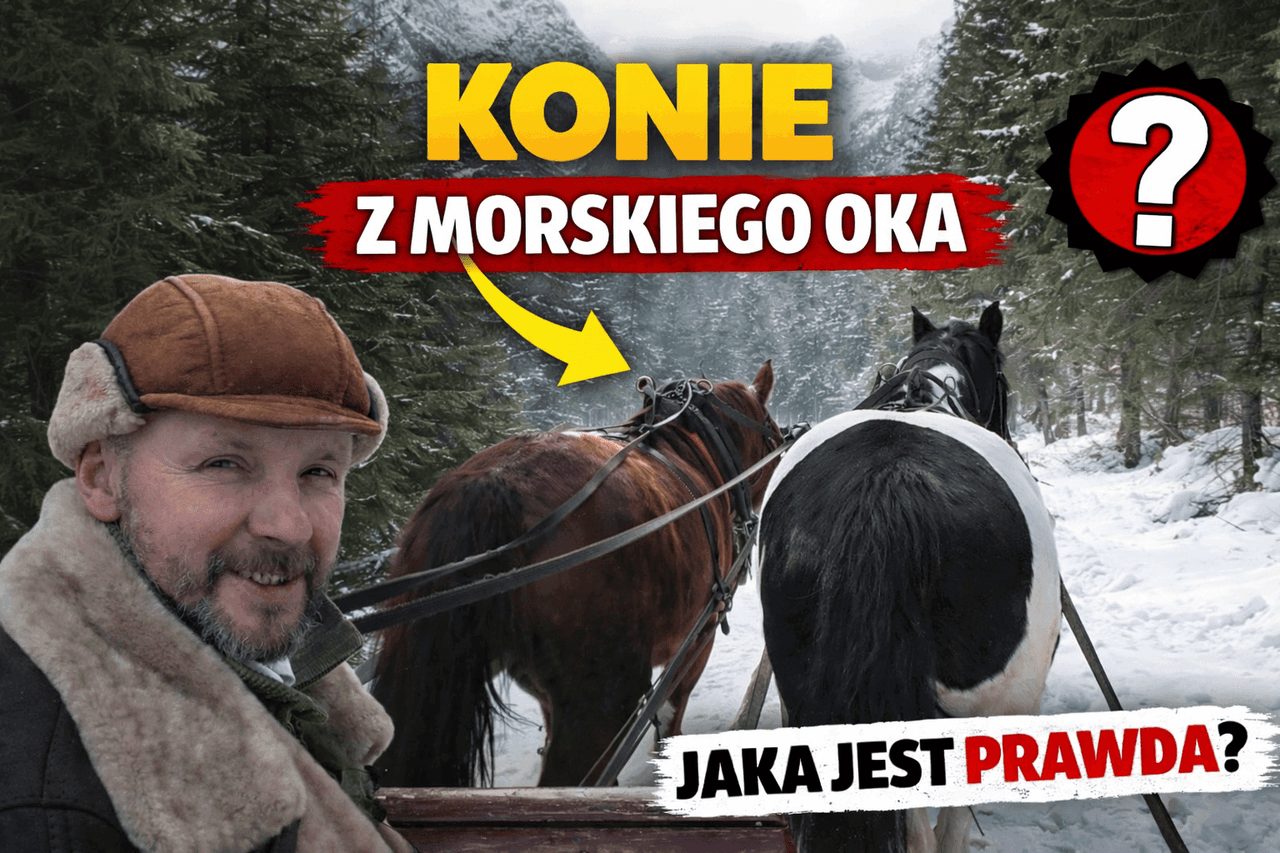 Konie z Morskiego Oka - jaka jest sytuacja na teraz?