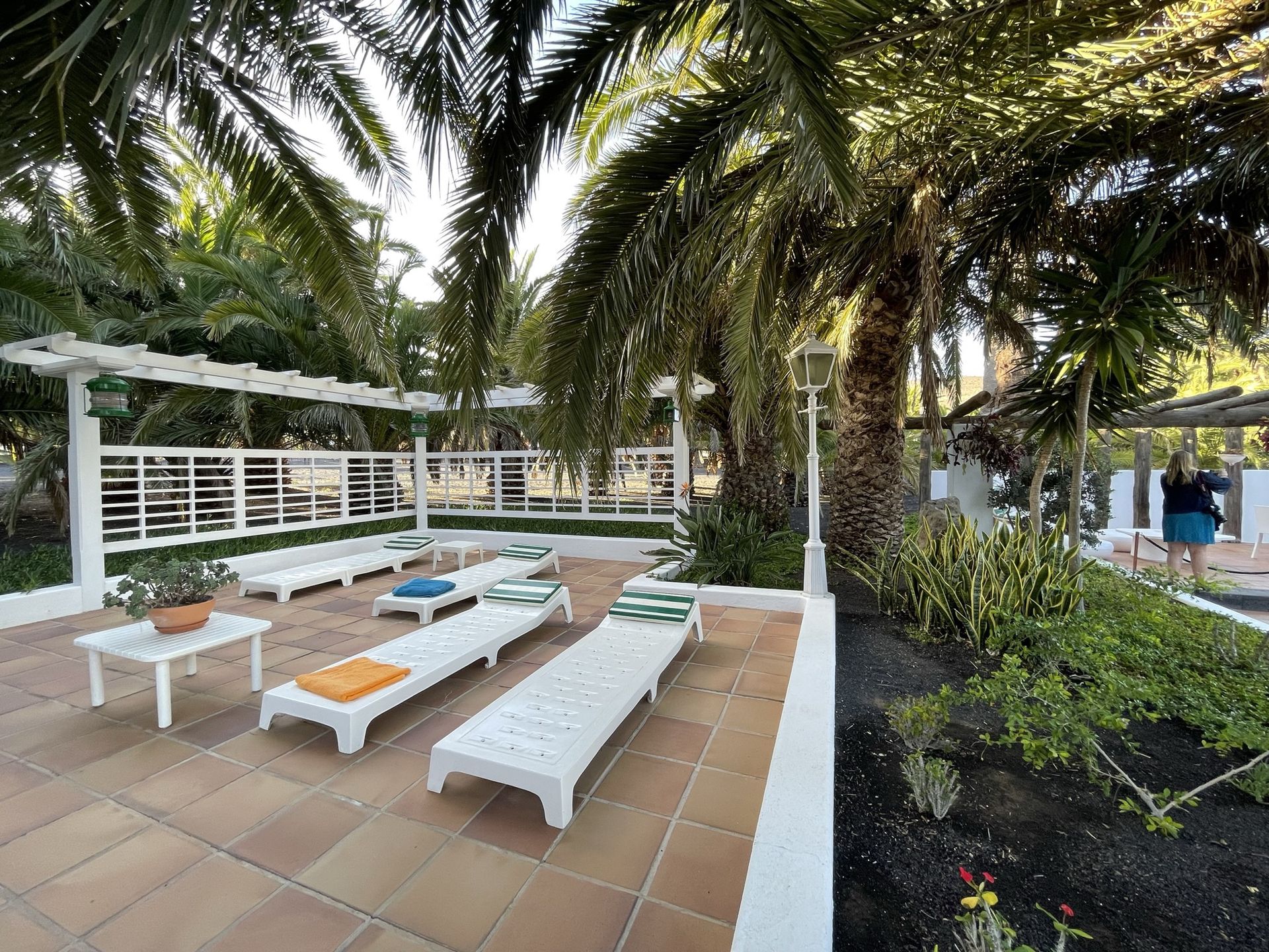 Casa del palmeral w Harii  