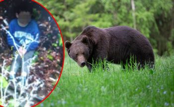 Tym żyła cała Rumunia. 5-latek przeżył w lesie pełnym niedźwiedzi