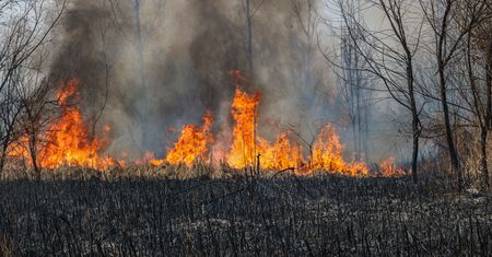PSP ostrzega. W weekend może zrobić się naprawdę niebezpiecznie