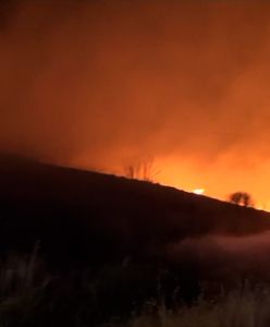 Piekło pożarów na Sycylii. Temperatura przerosła wyobraźnię