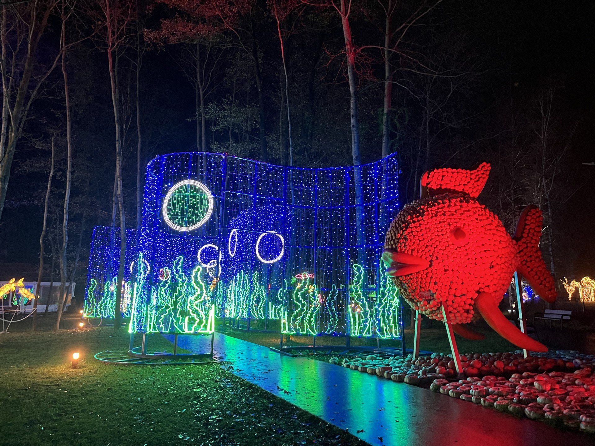 Lumina Park w Dobroniance obok Łodzi